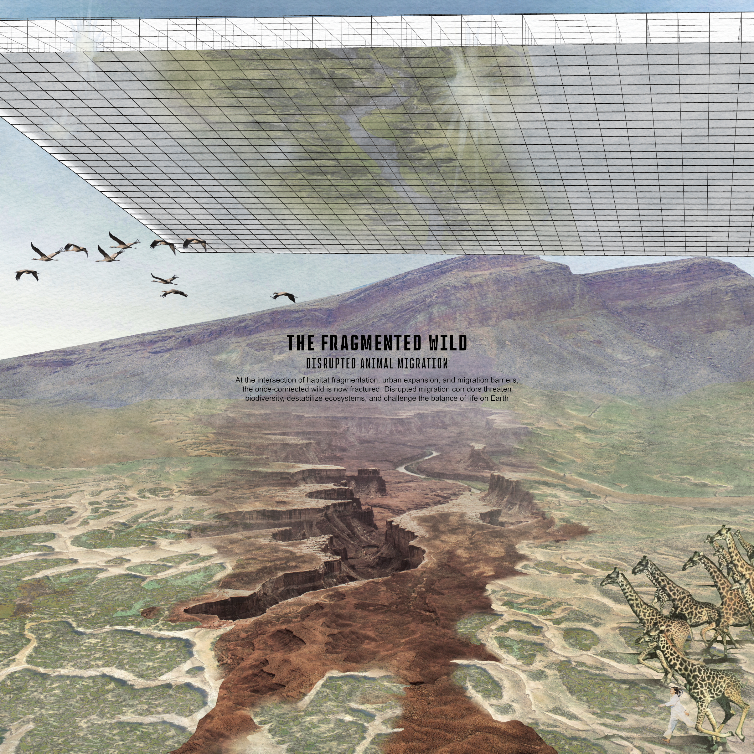 SEVEN ENVIRONMENTAL SCENARIOS 1