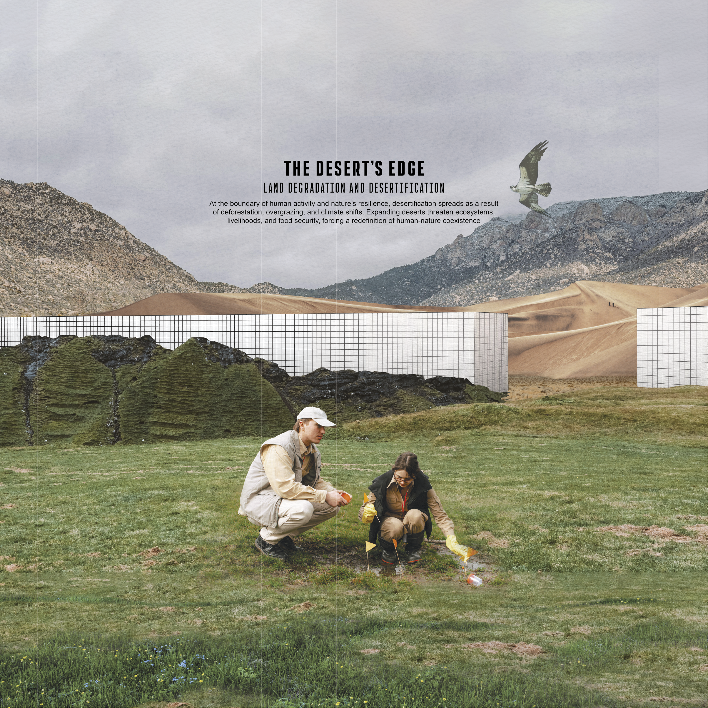 SEVEN ENVIRONMENTAL SCENARIOS 2